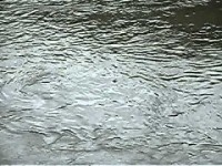 https://zdenekdanek.net/en/files/gimgs/th-14_Xs0JXsN42lc.jpg